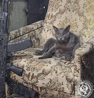 Иллюстрация 4