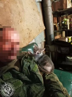 Иллюстрация 5