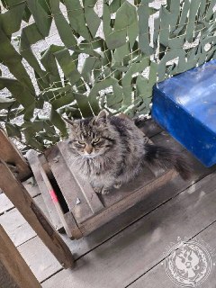 Иллюстрация 6