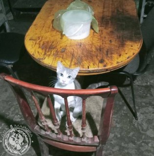 Иллюстрация 8