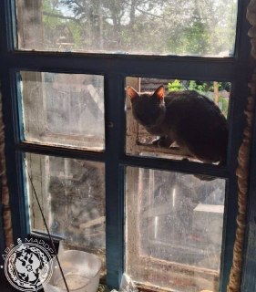 Иллюстрация 10