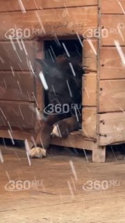 Иллюстрация 1