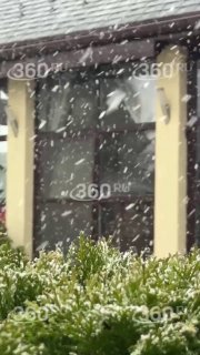 Иллюстрация 2