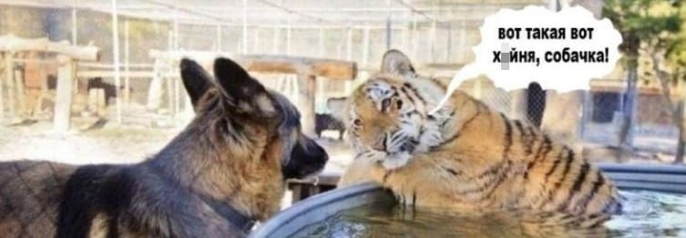 Генсек НАТО: Трамп запросит отчеты по безопасности в Ормузском проливе