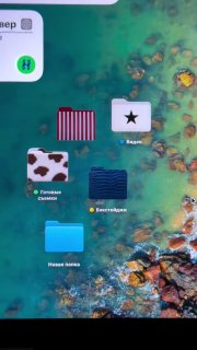 Как кастомизировать папки на Макбуке: рабочий стол с котами