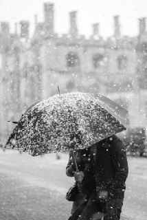 Апрельский снег и цитата Чехова