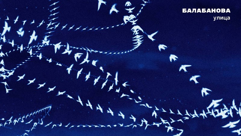 Программа второго дня фестиваля «Святая Анна»: показы и встречи с авторами