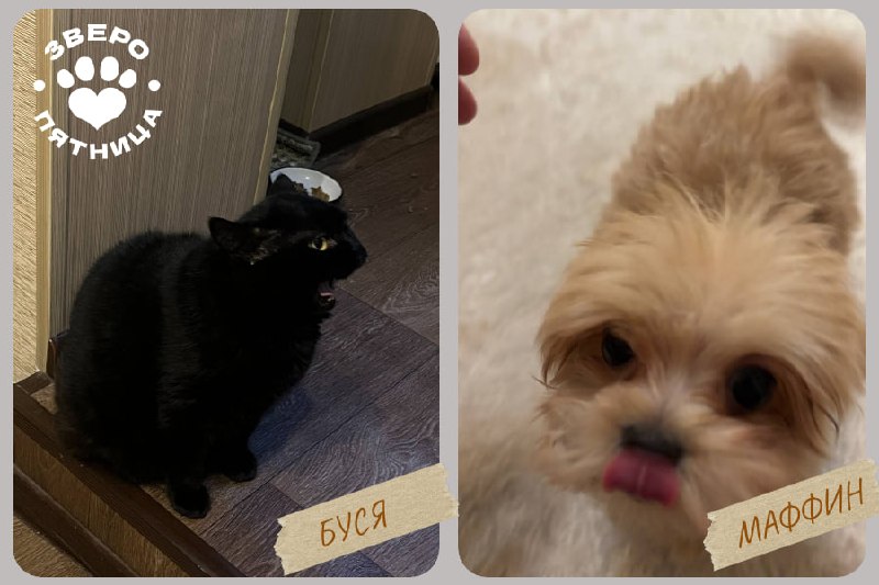 Иллюстрация 6