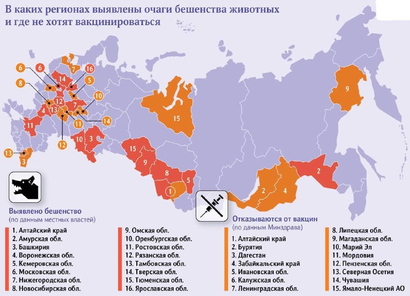 Бешенство выявлено в 16 регионах РФ на фоне массовых отказов от вакцинации