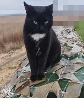 Иллюстрация 6