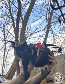 Иллюстрация 8