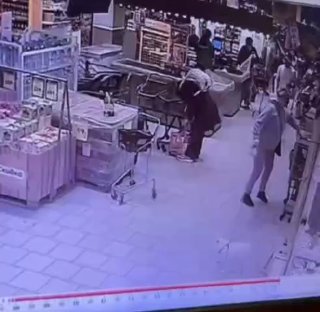 Суровая кошка из столичного супермаркета терроризирует собак