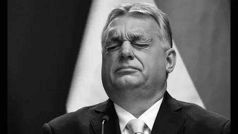 Оруэлл о тоталитаризме: цитата от Олега Царёва