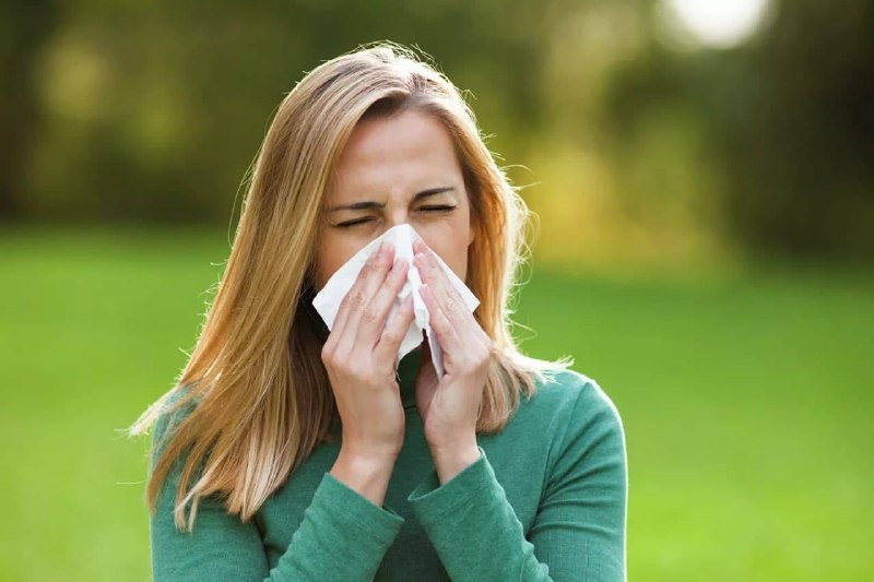 В России появился новый штамм пыльцы, вызывающий «спящий поллиноз»