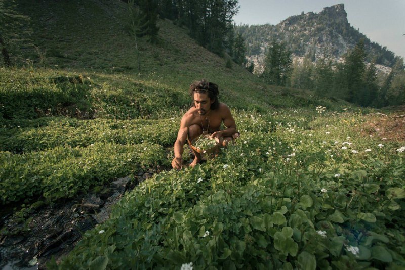 Иллюстрация 4