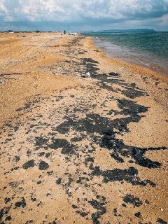 Иллюстрация 8