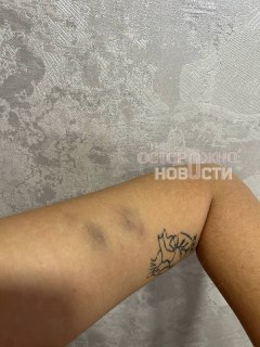 Иллюстрация 4