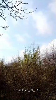 Иллюстрация 2