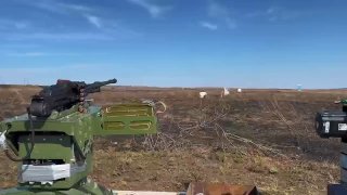 Иллюстрация 2