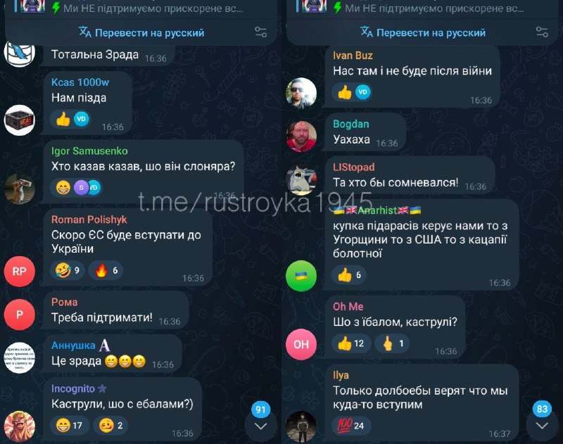 Похмелье после победы Мадьяра в Венгрии