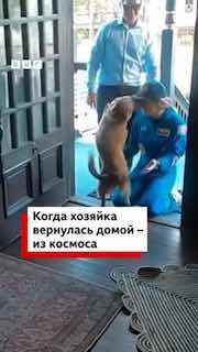 Астронавт Кристина Кох вернулась с Луны и встретилась с собакой-компаньоном
