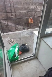 Иллюстрация 4