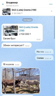 Обмен Lada Granta на 15 ишаков: фермер из Казахстана предлагает выгодную сделку