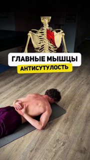 Комплекс из трёх упражнений для исправления сутулости и холки