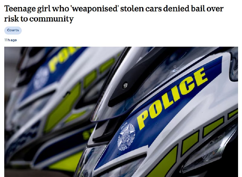 13-летней девочке в Австралии предъявили 109 обвинений за серию преступлений