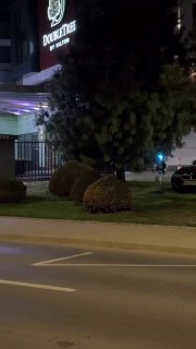 Робот стал знаменитостью в Варшаве, гоняя кабанов