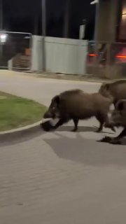 Иллюстрация 2