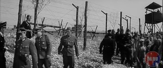 В Киеве рассматривают введение трудовой повинности для населения