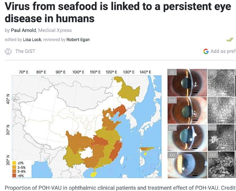 Новый вирус от креветок и рыбы может привести к слепоте