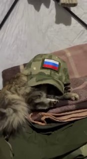 Итоги дня от боевого офицера ВДВ: пожелания бойцам на фронте