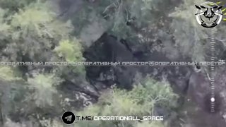 Уничтожение САУ ВСУ дроноводами на Лиманском направлении