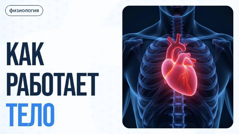 Почему мы зеваем и заражаем других: наука о охлаждении мозга