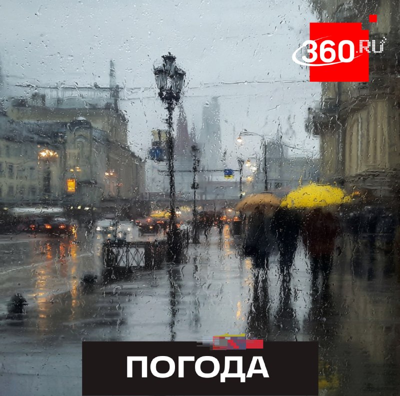 В столичном регионе объявлен желтый уровень опасности из-за ветра и дождя