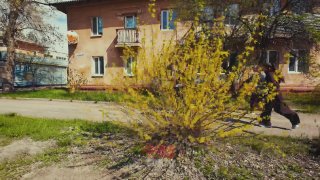 WarGonzo передал привет абхазским друзьям на пасхальном забеге в Сухуме