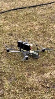 Иллюстрация 1