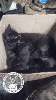 Доброе утро, Мракоборцы! Привет от Радикала и шуточный диалог о тьме