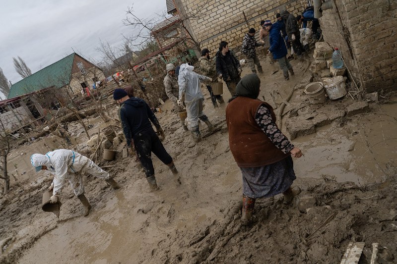 Иллюстрация 1