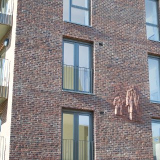 Иллюстрация 7