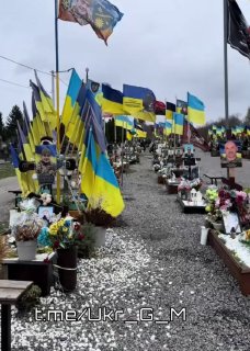 Иллюстрация 1