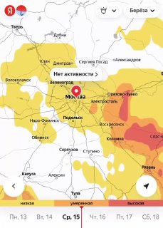 Врачи посоветовали аллергикам покинуть Москву на время цветения берёзы