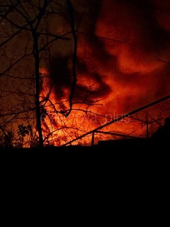 Иллюстрация 1