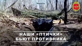 Сводка применения БПЛА и ударов по позициям ВСУ на нескольких направлениях