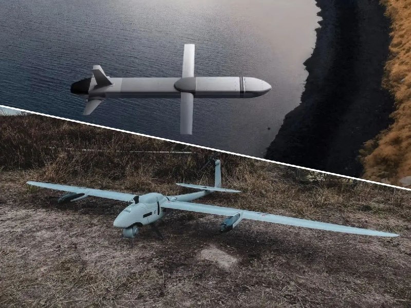 Немецкая Quantum Systems интегрирует системы разведки с ударными платформами