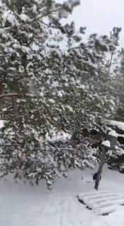 Иллюстрация 1