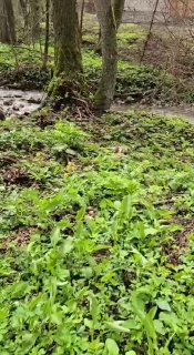 Иллюстрация 2