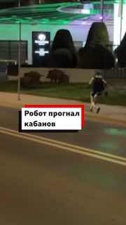Робот прогнал кабанов в Варшаве